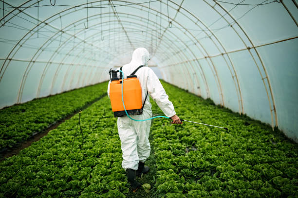 Reliable Westmont, NJ Pest Control Solutions