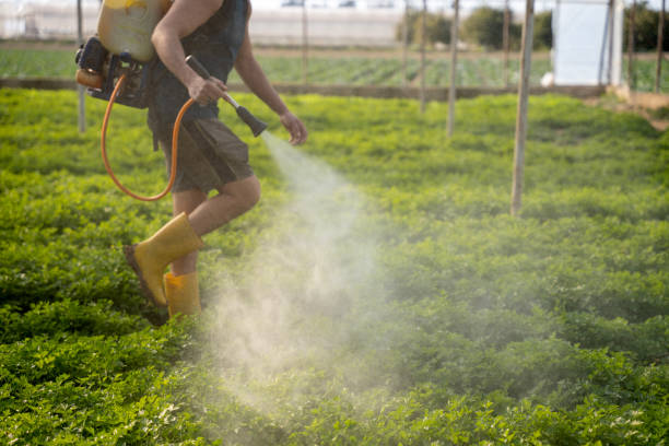 Best Insect Control  in Westmont, NJ
