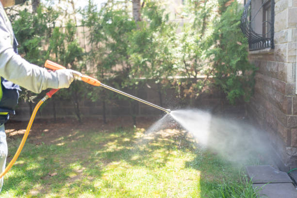 Best Mosquito Control Services  in Westmont, NJ