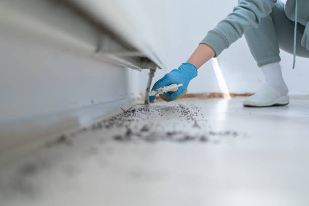 Pest Control Cost in Westmont, NJ
