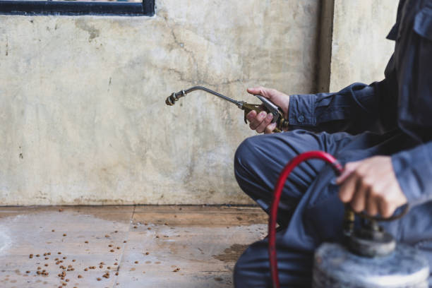 Best Exterminator Services  in Westmont, NJ